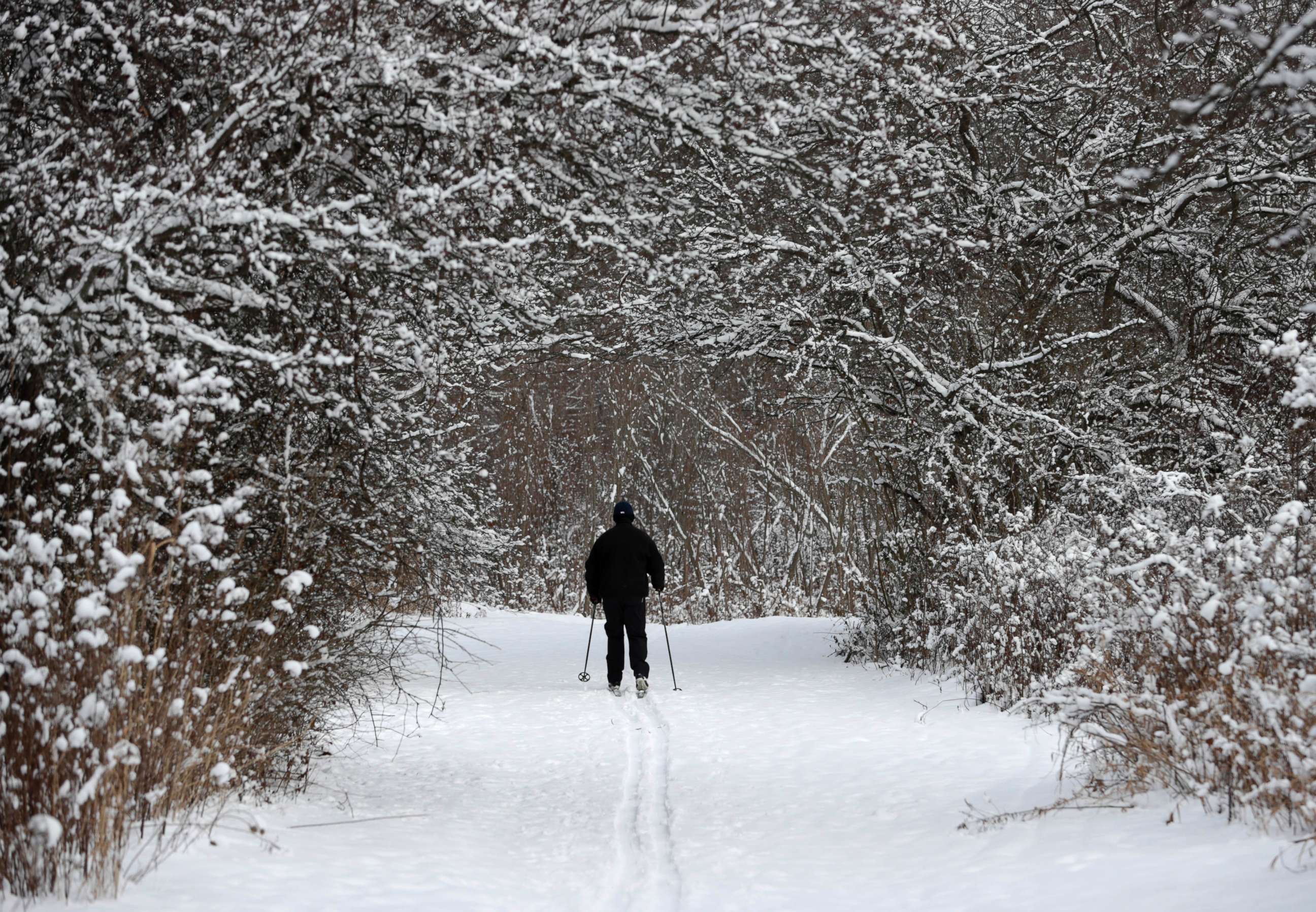 PHOTO: Joe Scharpf cross country skis on a trail after a fresh snowfall in the south chagrin reservation of the Cleveland Metroparks, Dec. 28, 2017, in Moreland Hills, Ohio. 