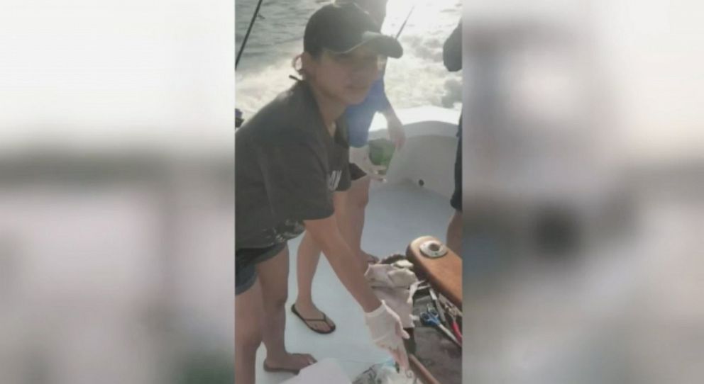 PHOTO: A group of nurses was on a fishing boat off South Florida when a spearfisherman was attacked by a shark on Saturday, Aug. 3.