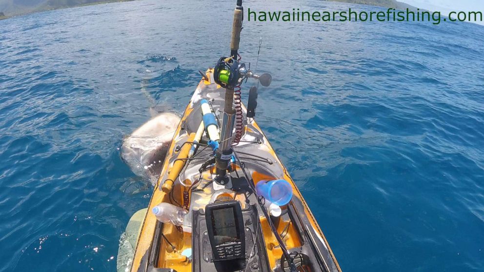 PHOTO: Dramatic footage captures a shark ramming into fisherman Scott Haraguchi's kayak off the coast of Oahu, Hawaii.