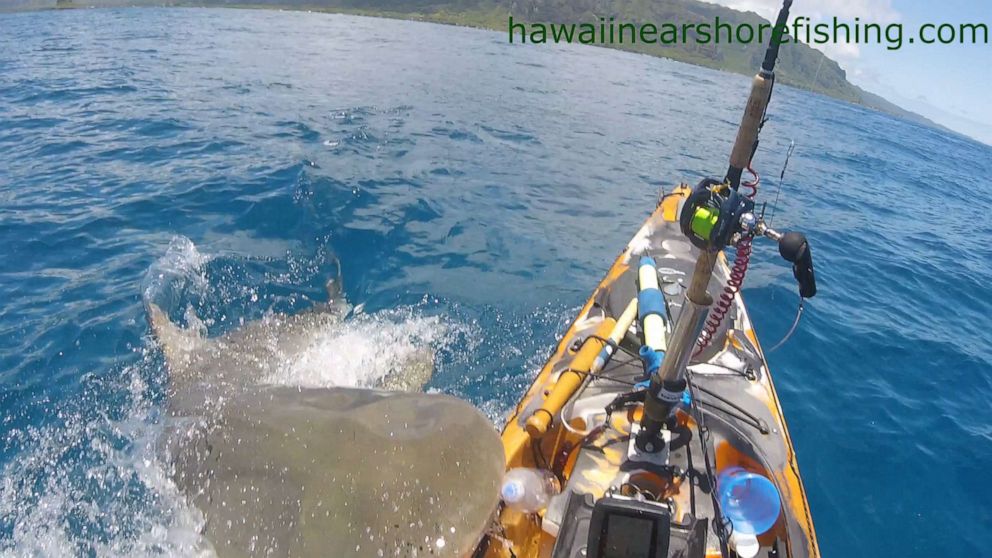 PHOTO: Dramatic footage captures a shark ramming into fisherman Scott Haraguchi's kayak off the coast of Oahu, Hawaii.