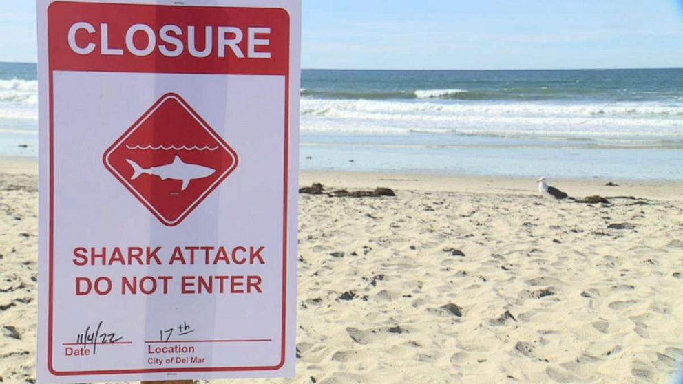 PHOTO: A beach in Del Mar, California, is closed following a shark attack, Nov. 4, 2022.
