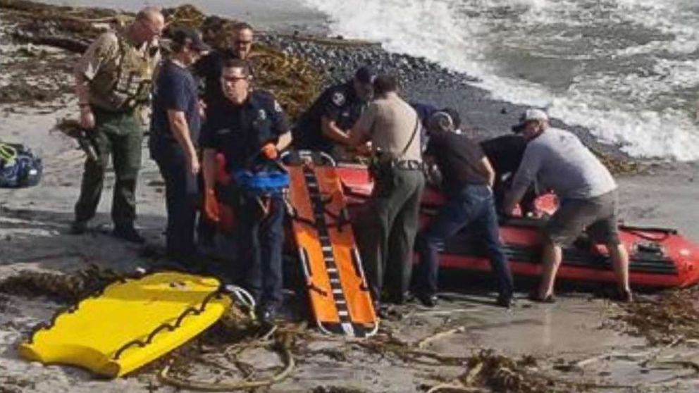 Man Bitten By Shark Off California Coast Abc News 