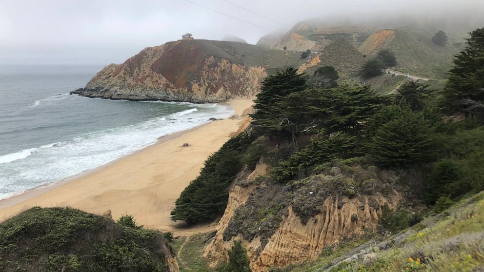 Man in serious condition after being bitten by great white shark at California beach