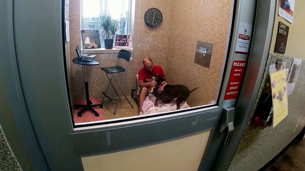 PHOTO: Scott Poore moved in with Queen at the Great Plains SCPA on Sept. 17, 2019 to help her get adopted.
