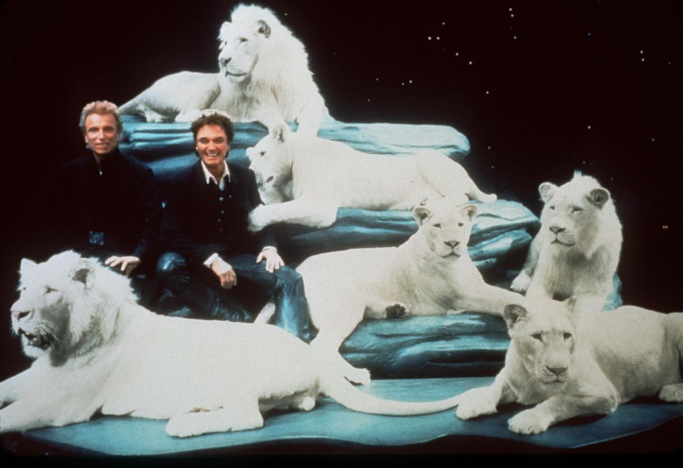 PHOTO: Siegfried & Roy are seen with their white lions on the stage set of their Las Vegas Show "Siegfried & Roy: The Magic Box" in 1999.