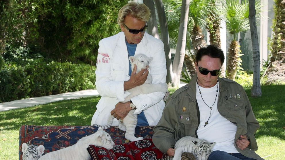 PHOTO: Illusionists Siegfried Fischbacher and Roy Horn appear with 6-week-old tiger cubs June 12, 2008, in Las Vegas.