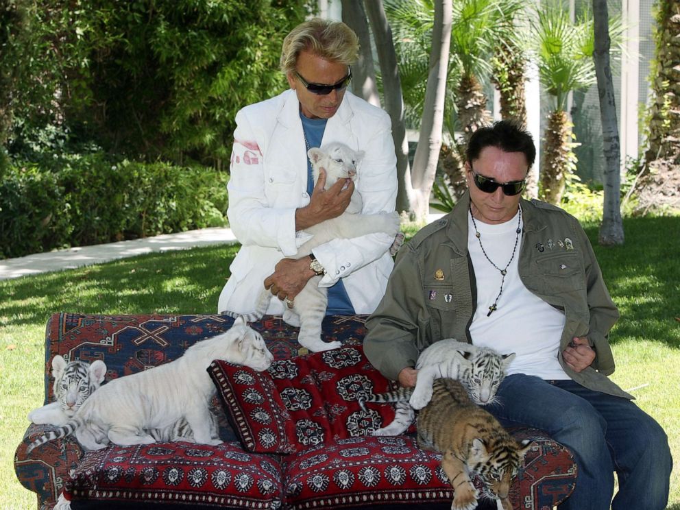 PHOTO: Illusionists Siegfried Fischbacher and Roy Horn appear with 6-week-old tiger cubs June 12, 2008, in Las Vegas.