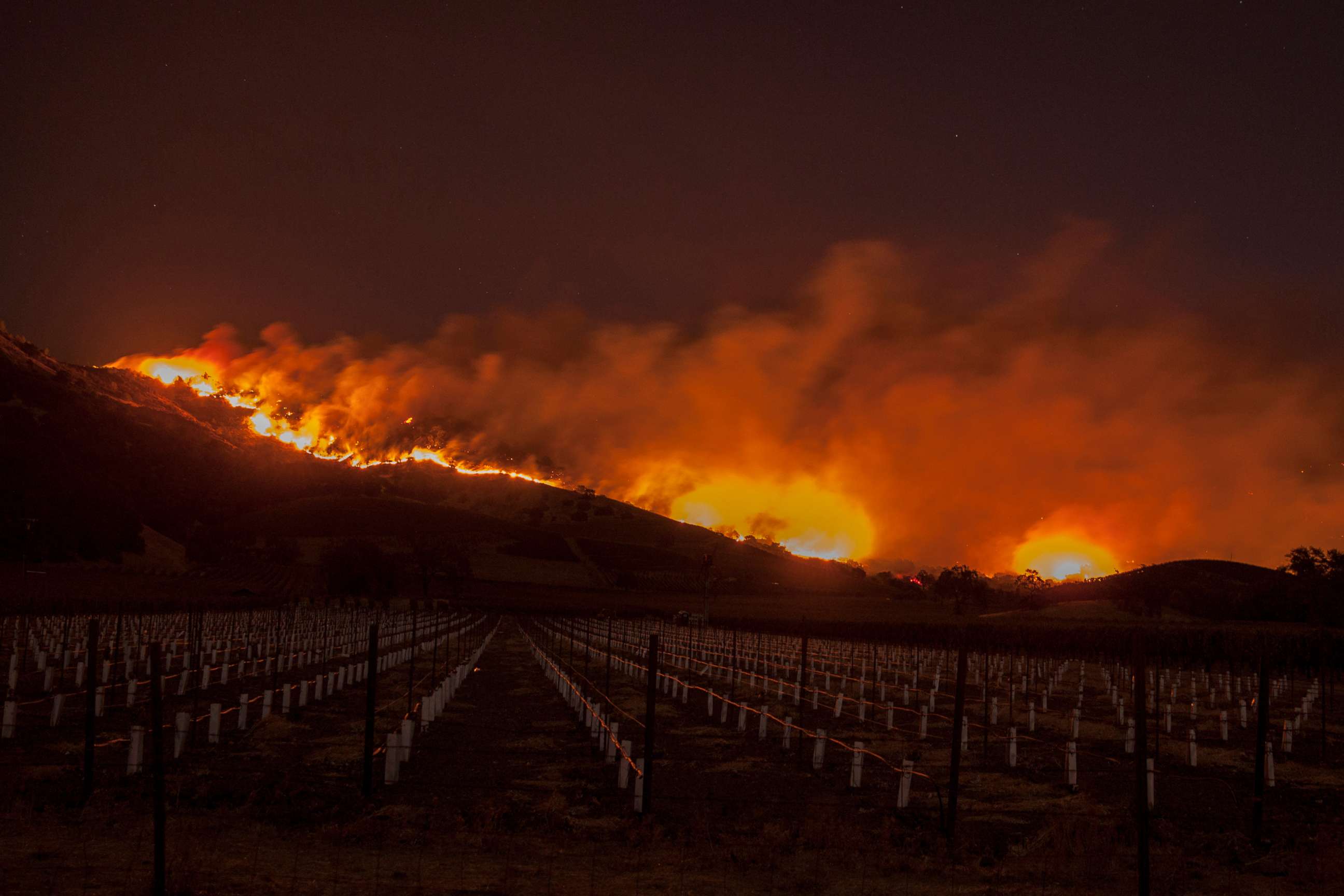 PHOTO: Flames moved through the hills above the Silverado Trail as a wildfire raged through the Napa/Sonoma wine region, Oct. 9, 2017. 