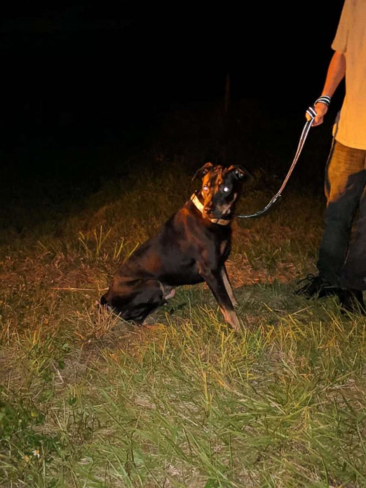 PHOTO: Martin County Sheriff's office said that they rescued a young woman and her dog from a sinking car after she crashed into a body of water in Indiantown, Fla., Dec. 3, 2019.