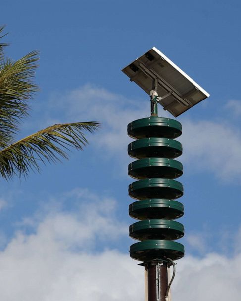 siren-kihei-2-hawaii-gty-ps-