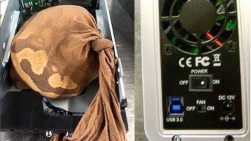 PHOTO: TSA discovered a python inside an external hard drive when a woman was going through security at Miami's airport.