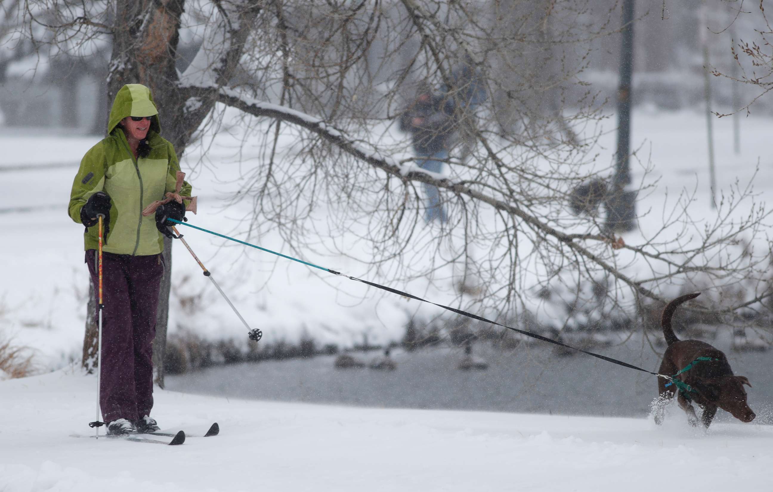 PHOTO: Jennifer Robbins of Denver cross-country skis with her chocolate Labrador named Koa in Washington Park, Jan. 21, 2018, in Denver.
