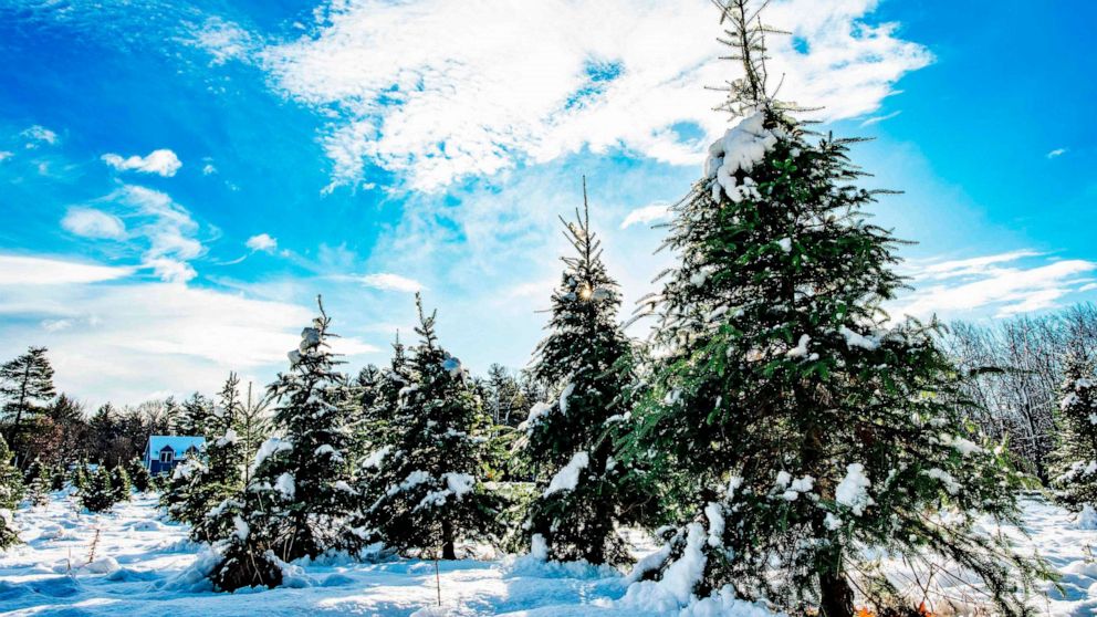 First snow hits major Northeast cities as new storm crosses country ...