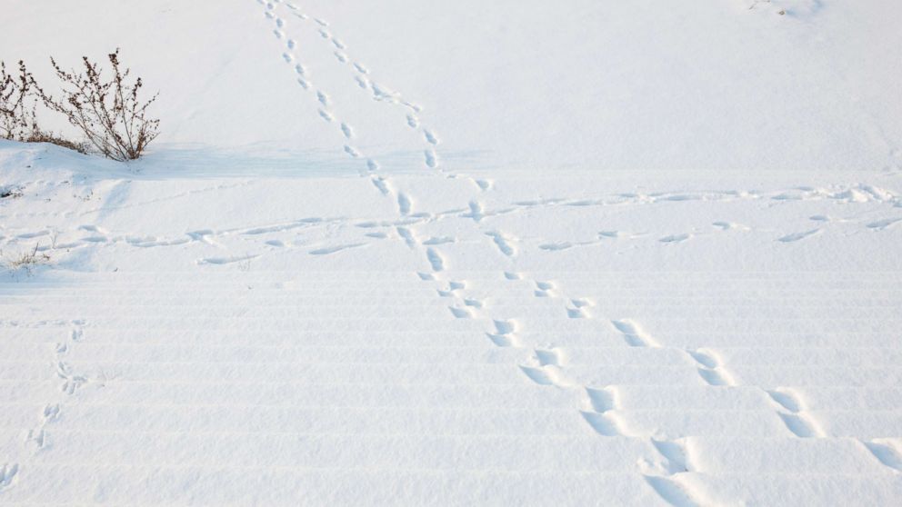 Snow is pictured in this undated stock photo.