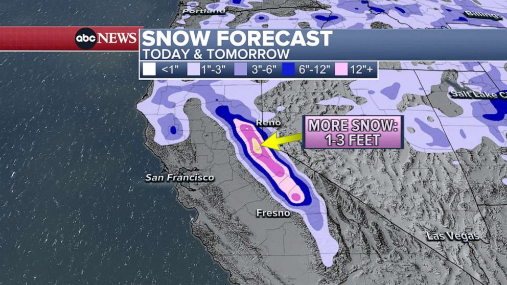 PHOTO: The UC Berkeley Central Sierra Snow Lab in Soda Springs, CA has recorded 562 inches of snow so far this season.