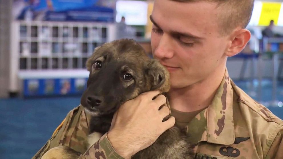 PHOTO: U.S. Army Specialist Tyler Mosely unites with Daisy who he took in while on deployment in Syria in 2018.