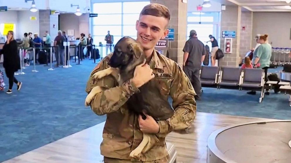 PHOTO: U.S. Army Specialist Tyler Mosely unites with Daisy who he took in while on deployment in Syria in 2018.