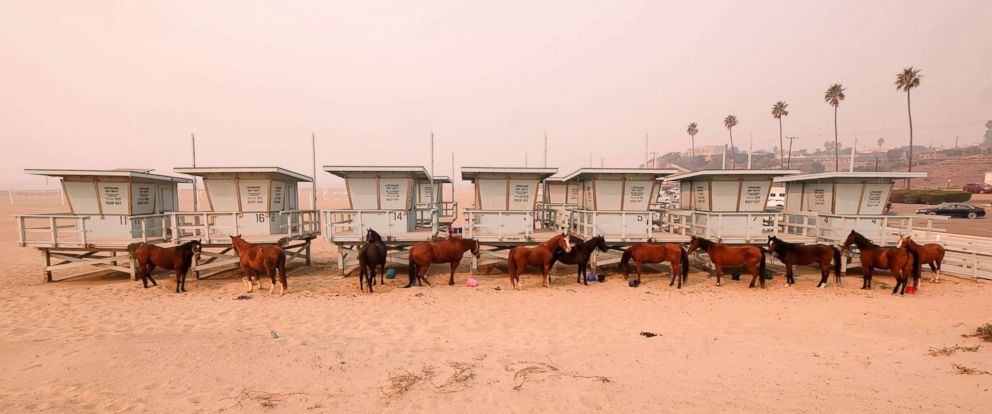 PHOTO: Horses are tied to lifeguard booths on the beach in Malibu, Calif., Nov. 10, 2018. Wildfires are burning in both Southern and Northern California.