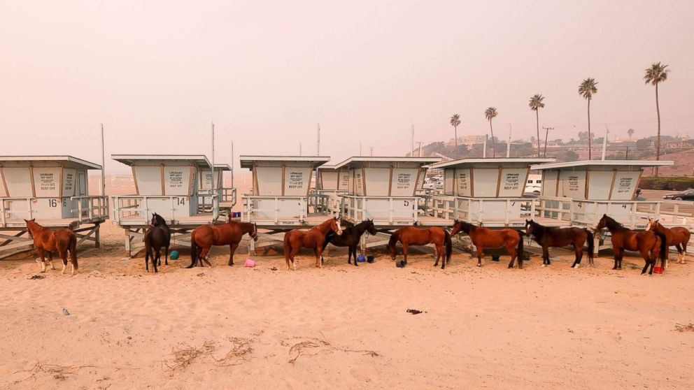 PHOTO: Horses are tied to lifeguard booths on the beach in Malibu, Calif., Nov. 10, 2018. Wildfires are burning in both Southern and Northern California.