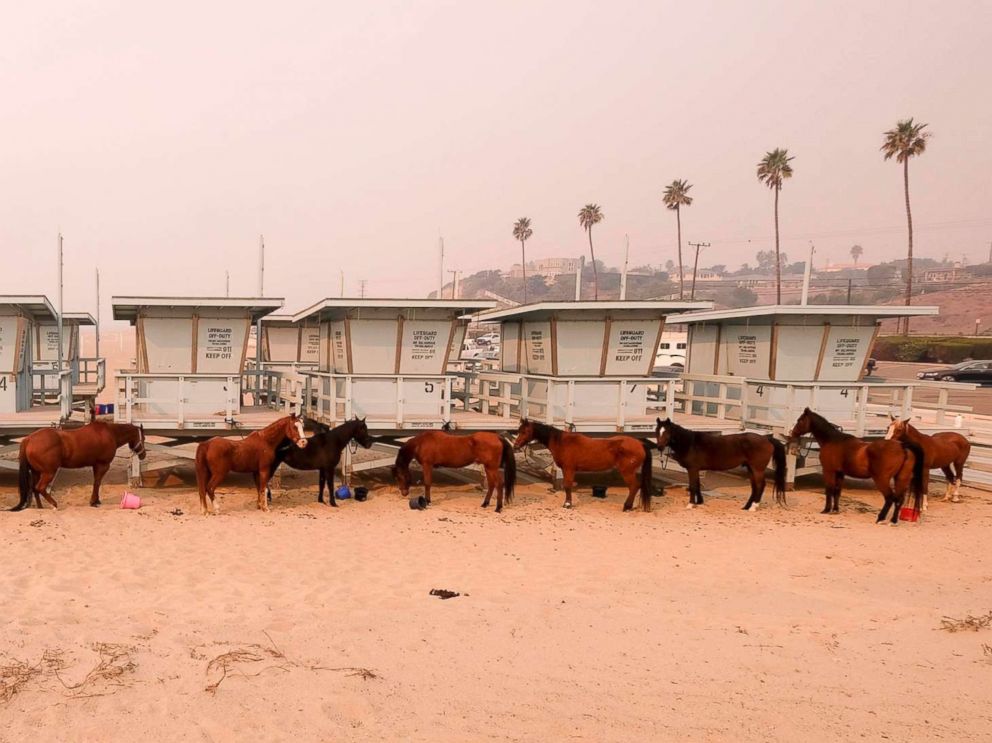 PHOTO: Horses are tied to lifeguard booths on the beach in Malibu, Calif., Nov. 10, 2018. Wildfires are burning in both Southern and Northern California.