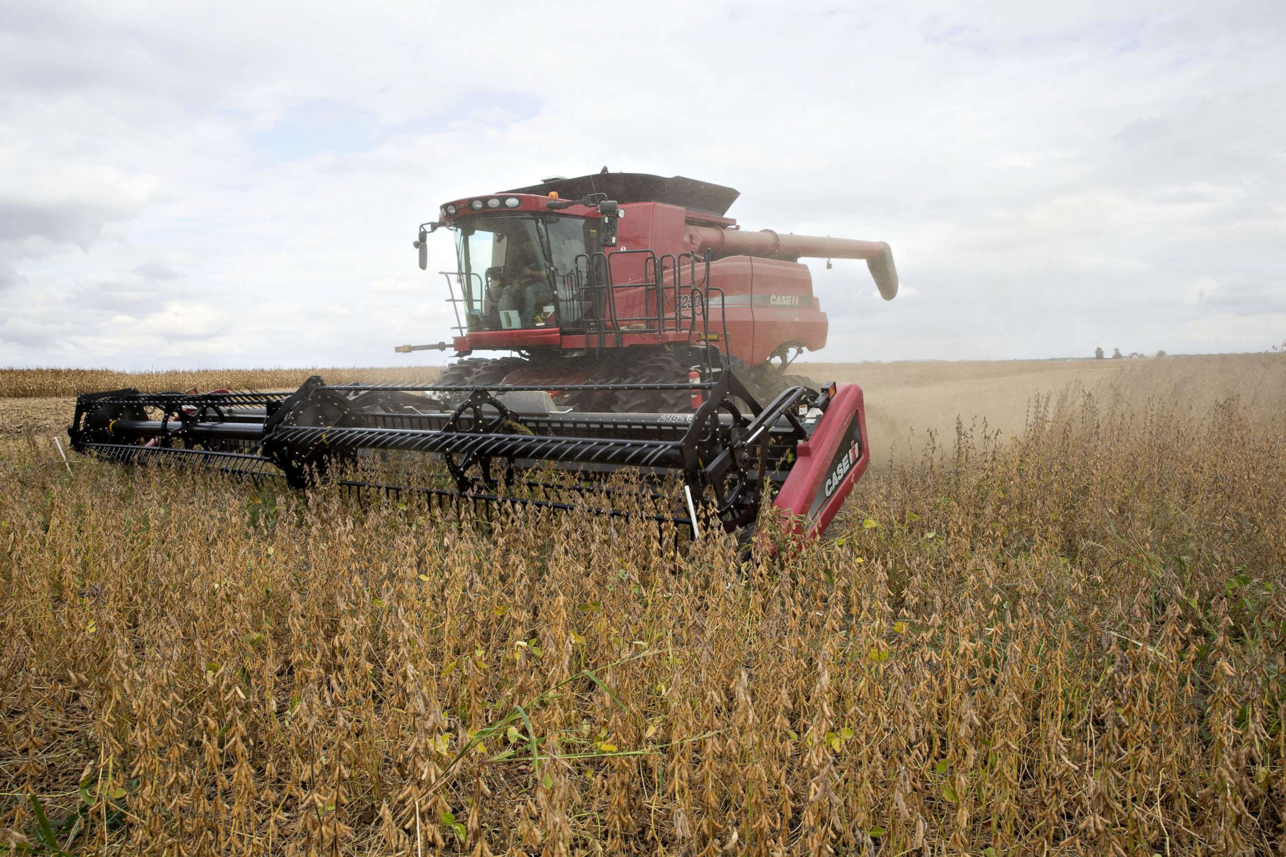 PHOTO: Syngenta Group Co. NK Soybeans are harvested with a Case IH combine harvester near Princeton, Ill., Sept. 29, 2016, this this file photo.