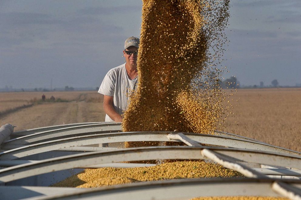 PHOTO: Farmer Chris Crosskno watches as soy beans are loaded into his truck, Oct. 11, 2017, at his farm near Denton, Mo.