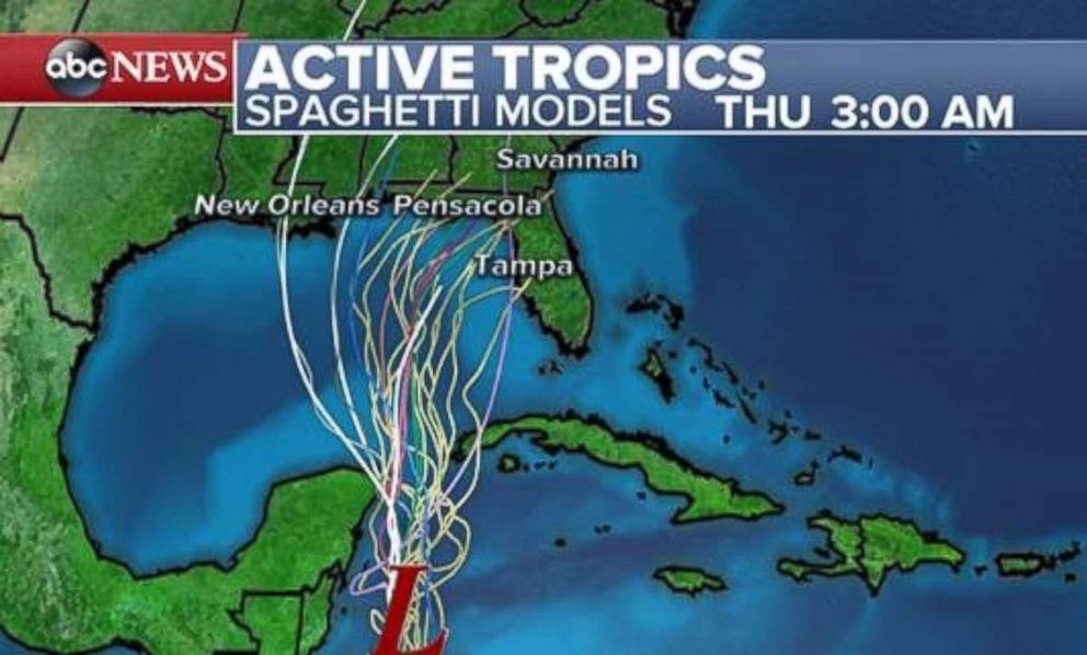 PHOTO: Spaghetti models show the possible tropical depression moving north, though there is little agreement on where it will land along the Gulf Coast.