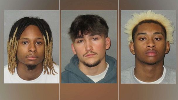 4 arrested in alleged rape of college student later fatally struck by car: Police