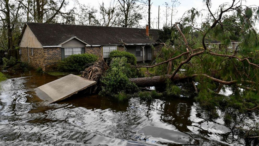 PHOTO: A fallen tree is pictured in a flooded neighborhood in LaPlace, Louisiana on August 30, 2021 in the aftermath of Hurricane Ida. 