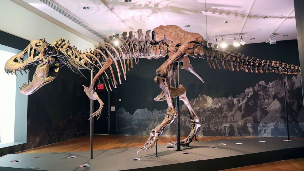 An enormous T. rex skeleton vanished after a mysterious auction. It