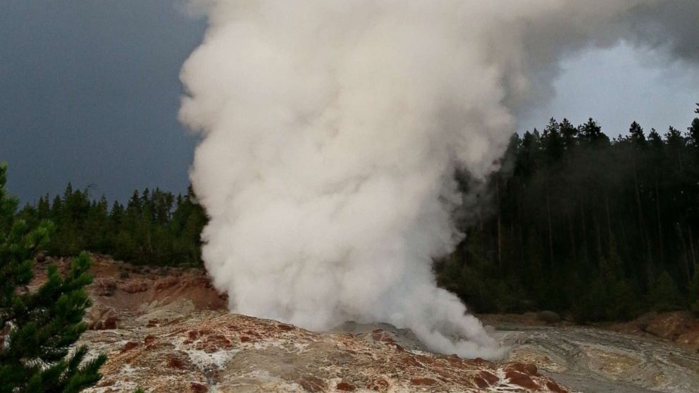 World's Tallest Active Geyser Erupts 3 Times In Past 6 Weeks In ...