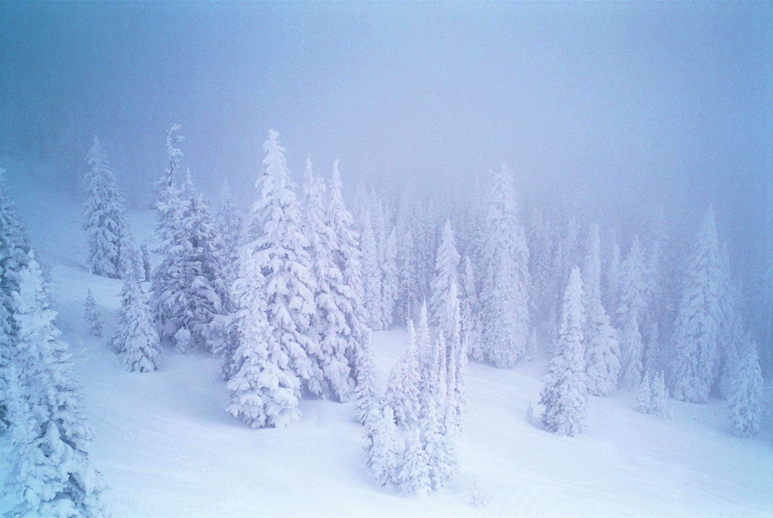 PHOTO: Steamboat Springs, Colorado, USA