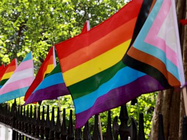 Dozens of Pride flags vandalized at Stonewall monument, 3rd time this month: NYPD