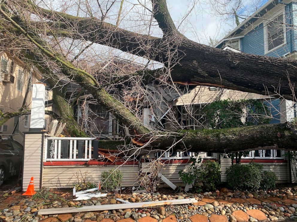 PHOTO: A tree collapsed and damaged a home after winter storms brought high winds and heavy rain in Sacramento, California, Jan. 8, 2023.