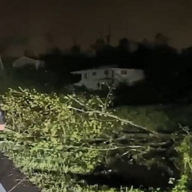 Storms swept through the Chattanooga area, downing trees and power lines, killing at least seven and leaving thousands without power.