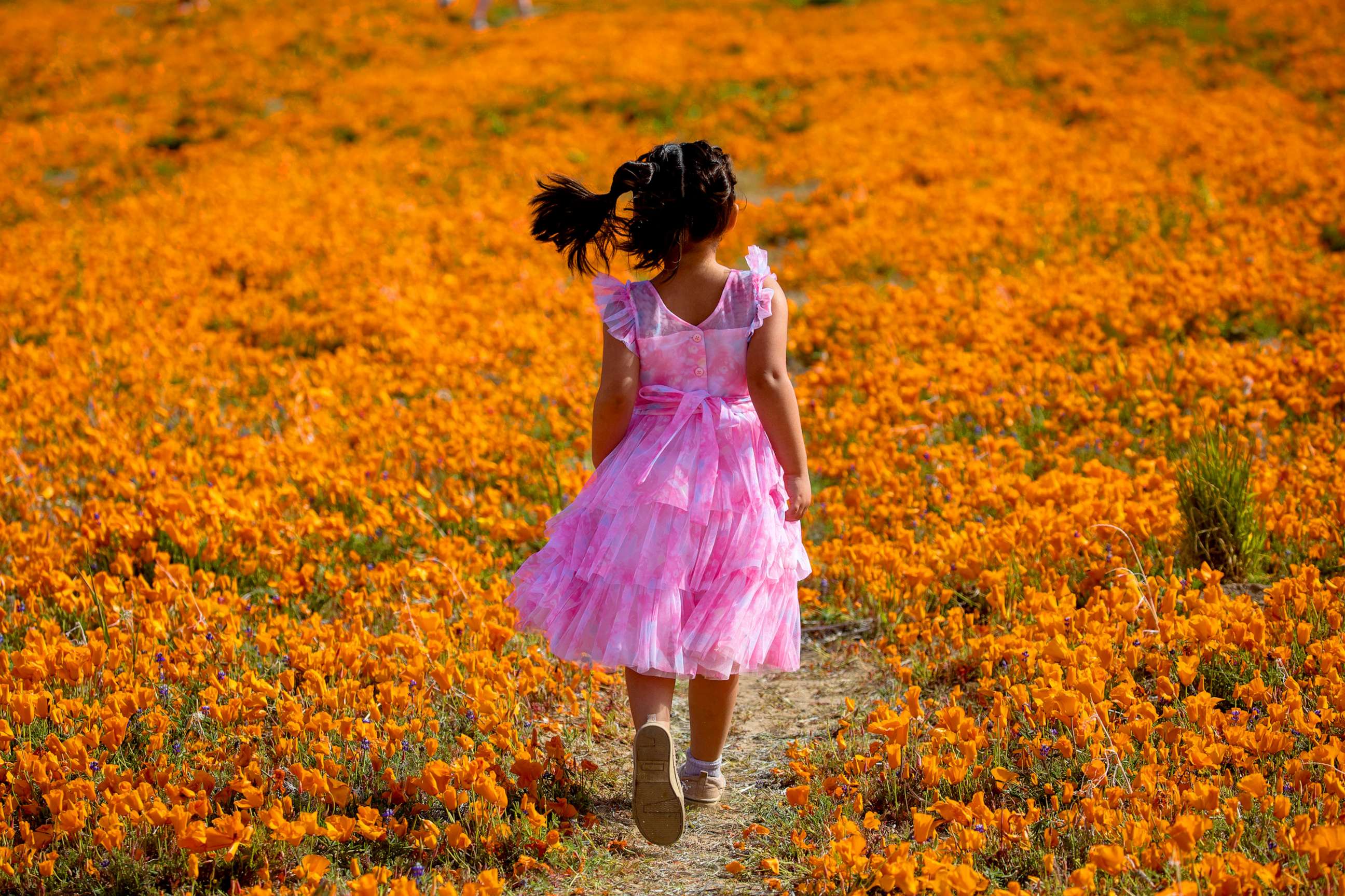PHOTO: Isabella Recio, 4, walks on the trail in a field of California poppies outside the Antelope Valley California Poppy Reserve State Natural Reserve, April 7, 2023, in Lancaster, CA.