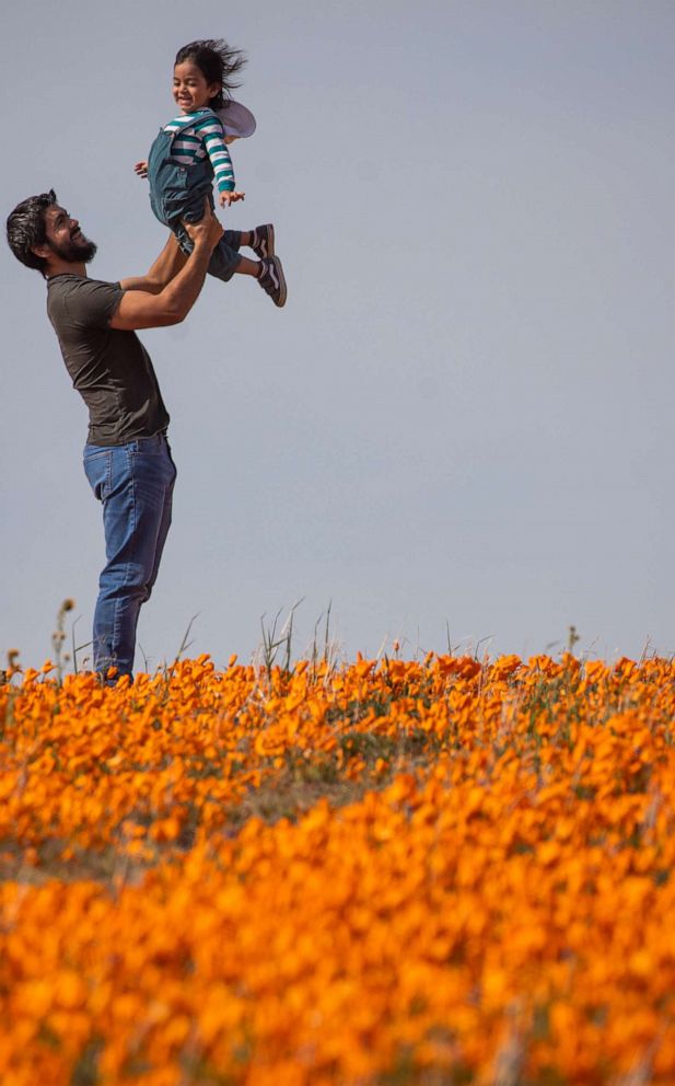 superbloom-poppies-gty-11-thg-