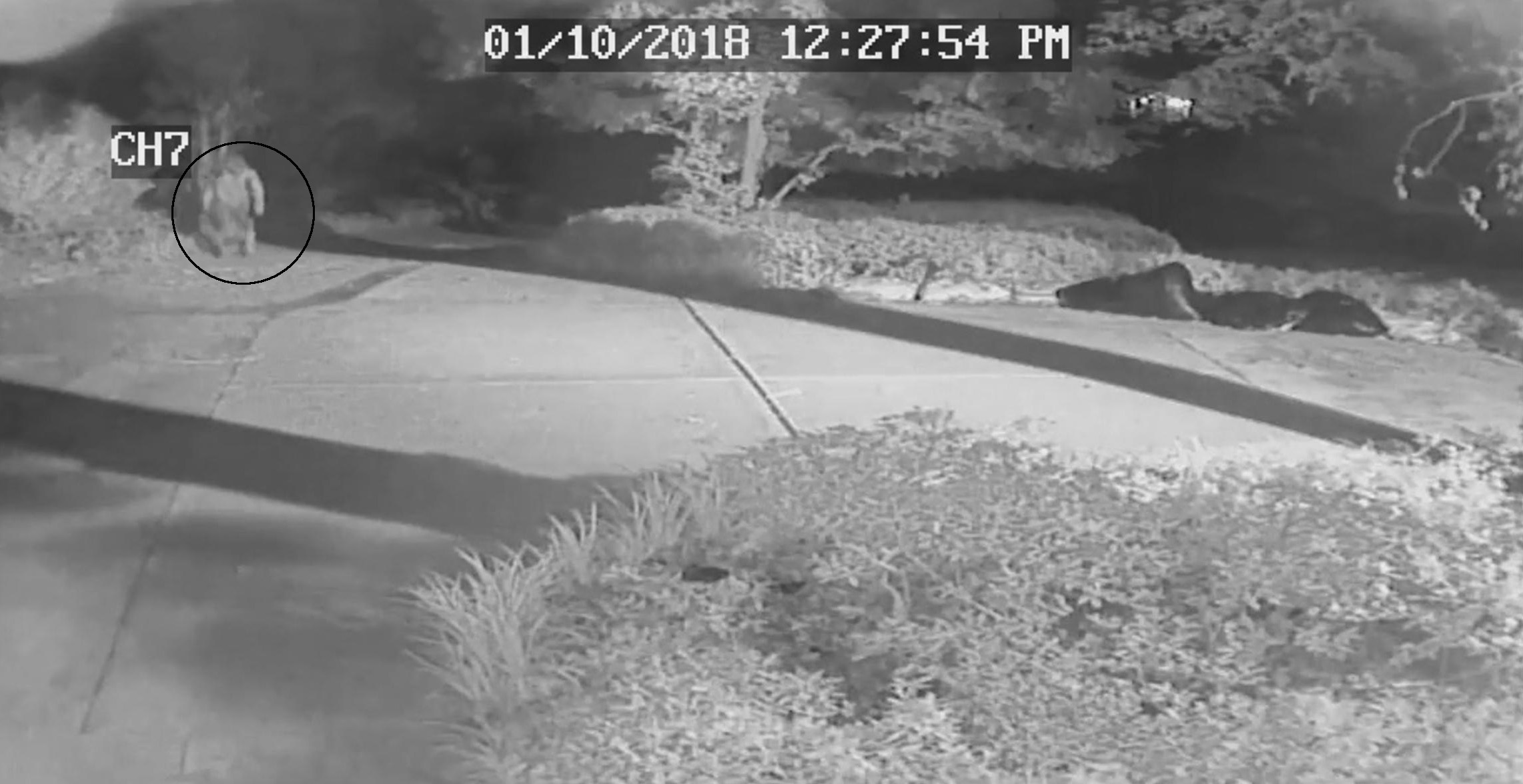 PHOTO: A man walking outside Kay Thomasson’s home on June 27, 2018  in an image made from video that Sandy Springs Police say was taken on June 27, 2018.