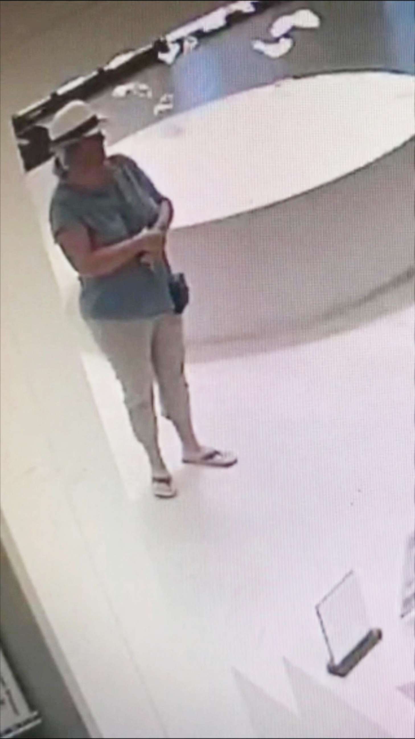 PHOTO: An undated surveillance photo of Lois Riess at an Ocala, Fla., area hotel, released by the Lee County Sheriff's Office.