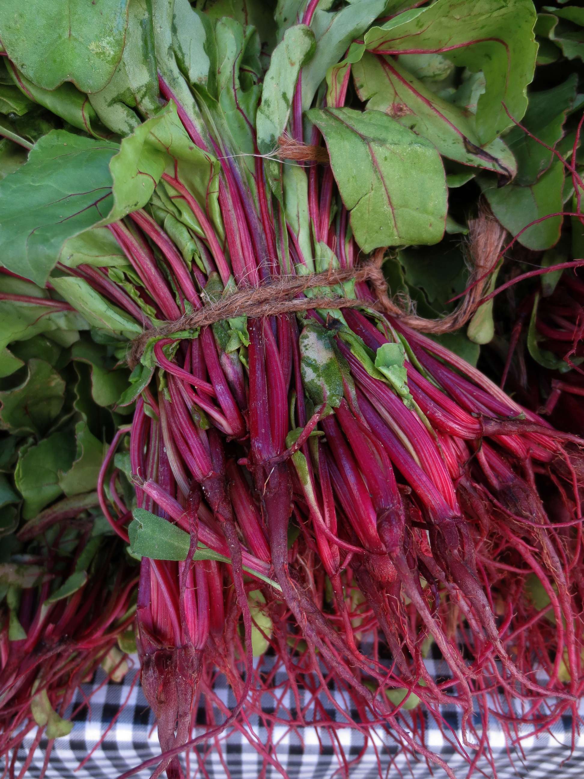 PHOTO: Swiss chard, an in season vegetable to look out for at the markets this spring, is photographed here at New York City's Union Square Greenmarket farmer's market. 
