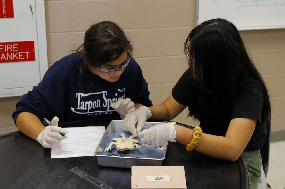 PHOTO: Students from J.W. Mitchell High School in New Port Richey, Fla., participate in the first-ever SynDaver Synthetic Frog dissection on Nov. 20, 2019.