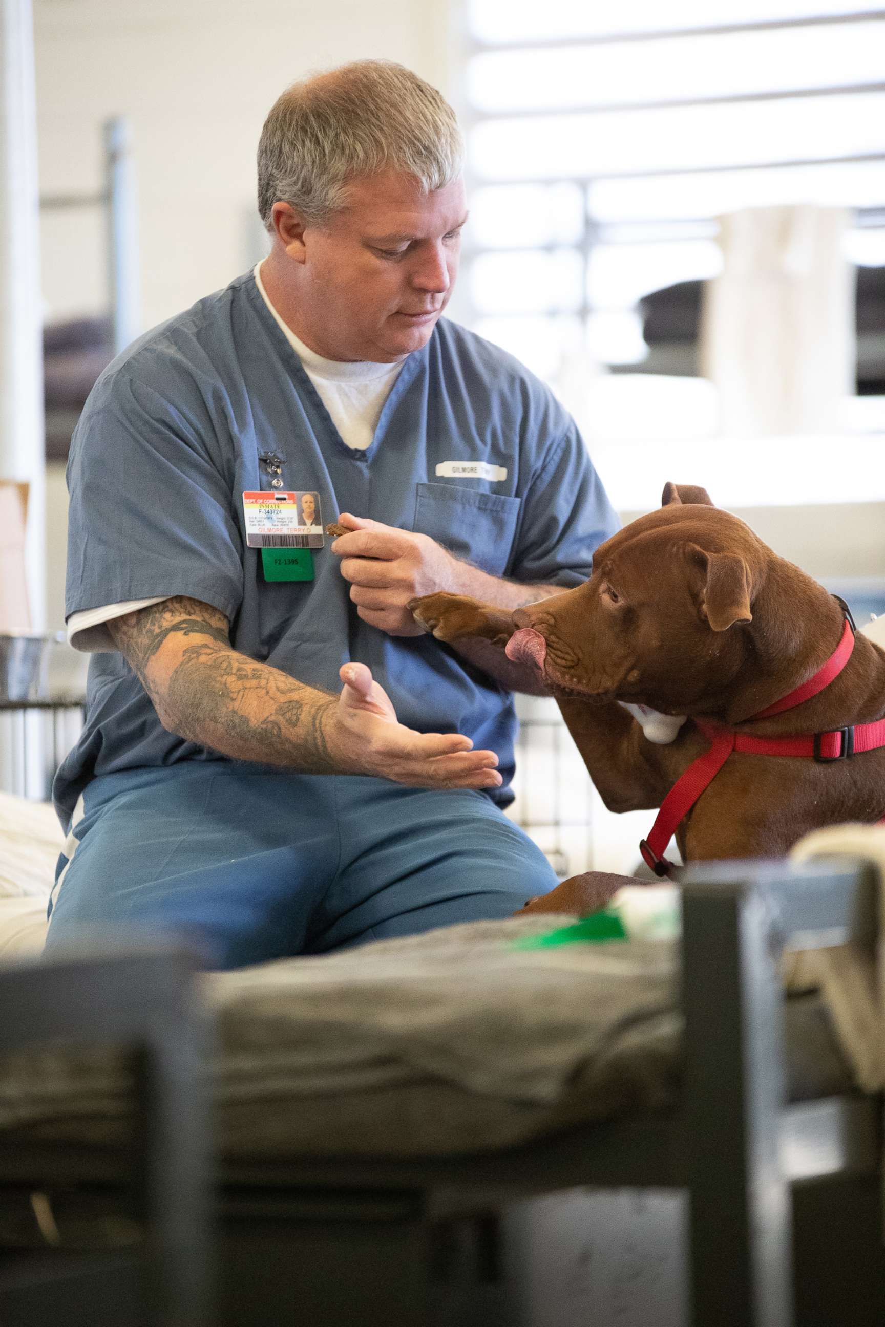 PHOTO: One of the commands the dogs in the TAILS program learn is to "pray," which involves placing both hands on the inmate's arm.