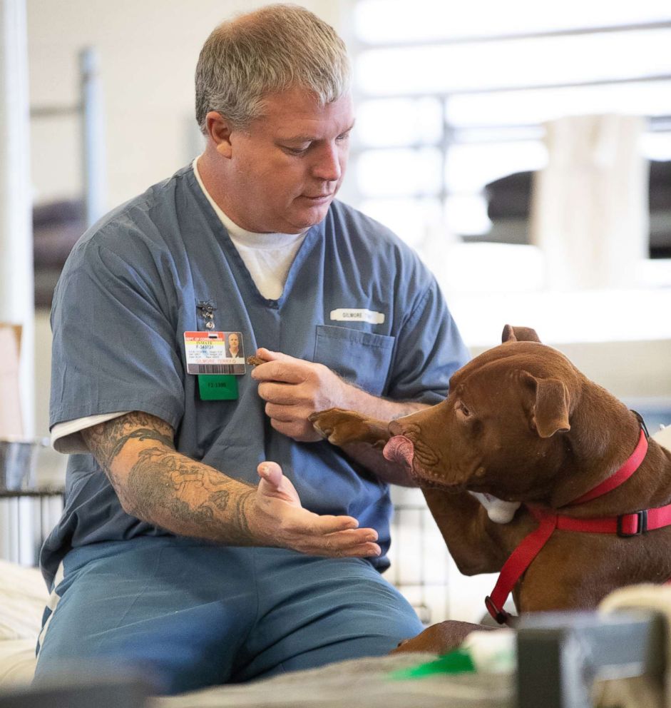 PHOTO: One of the commands the dogs in the TAILS program learn is to "pray," which involves placing both hands on the inmate's arm.