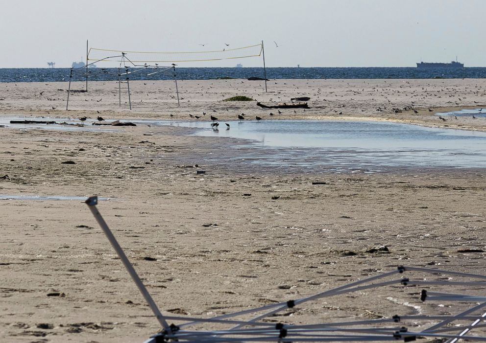 PHOTO: Wildlife officials say beach volleyball players on the small island off Alabama probably killed hundreds of unhatched birds, moving eggs to make room for their playing court and scaring adult birds from nests, July 10, 2018.