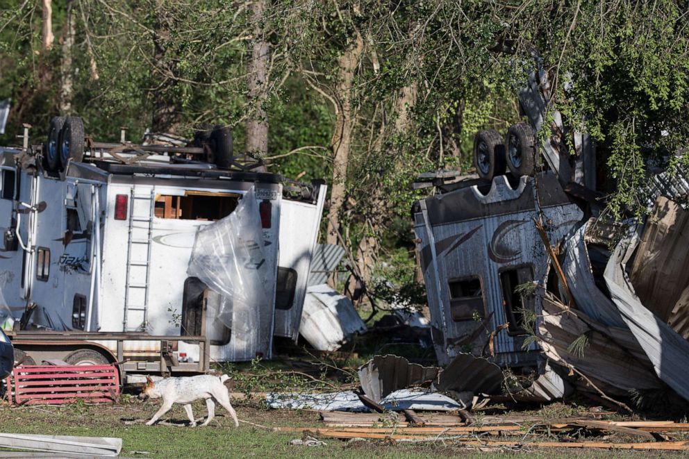 PHOTO: A dog walks past overturned trailers, April 23, 2020, in Onalaska, Texas, after a tornado came through the area night before.