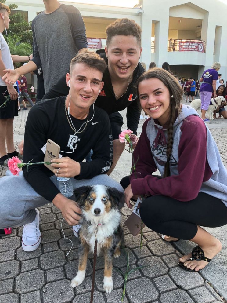 PHOTO: Comfort dogs were brought to Marjory Stoneman Douglas High School to help students who returned to class for the first time since the deadly shooting on Feb. 14.