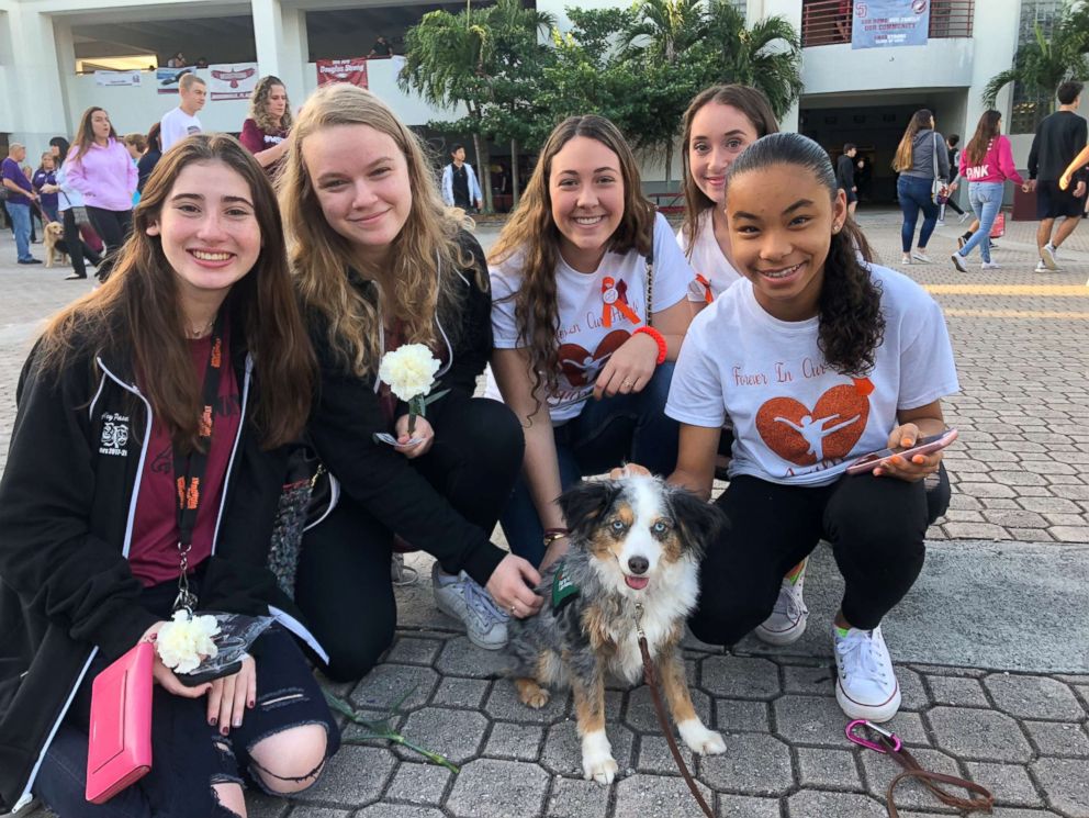 PHOTO: Comfort dogs were brought to Marjory Stoneman Douglas High School to help students who returned to class for the first time since the deadly shooting on Feb. 14.