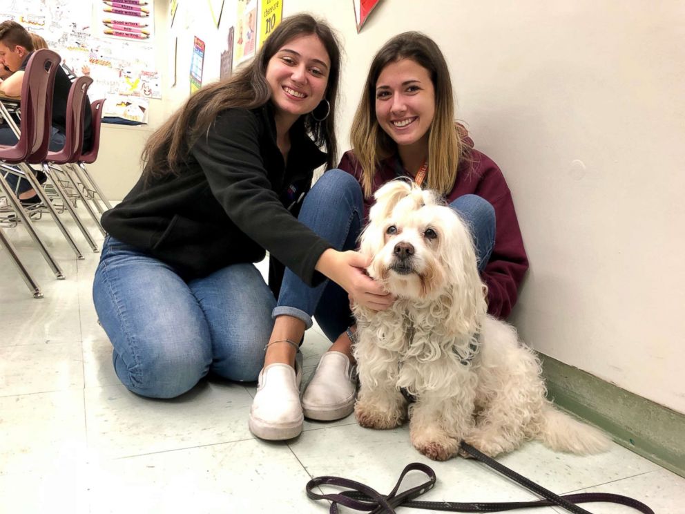 PHOTO: Comfort dogs were brought to Marjory Stoneman Douglas High School to help students who returned to class for the first time since the deadly shooting on Feb. 14.