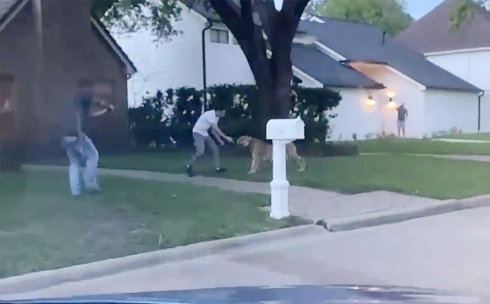 PHOTO: An off-duty police officer points his weapon as the apparent owner retrieves a Bengal tiger that had gotten out and was roaming the West Houston neighborhood May 9, 2021.