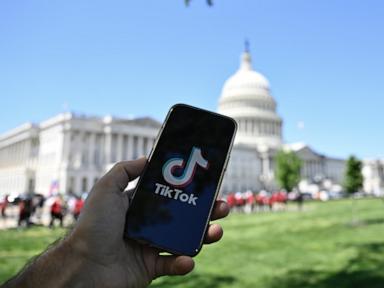 TikTok sues federal government over potential US ban